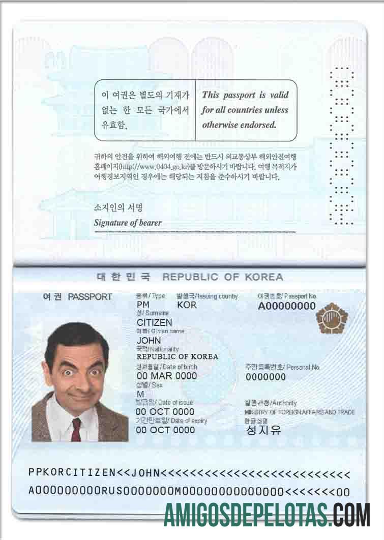 Passaporte da Coreia do Sul baixar para verificação